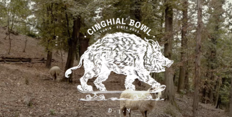 Cinghial mini bowl – video